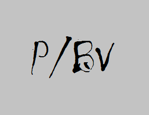 pbv